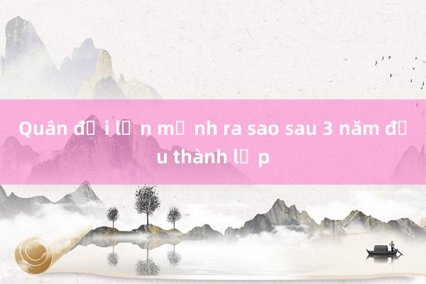 Quân đội lớn mạnh ra sao sau 3 năm đầu thành lập