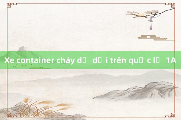 Xe container cháy dữ dội trên quốc lộ 1A