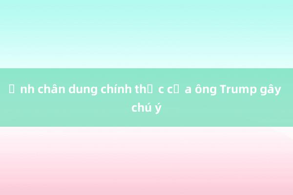 Ảnh chân dung chính thức của ông Trump gây chú ý