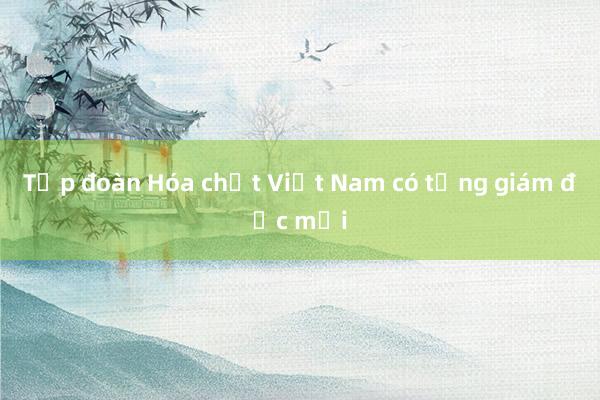 Tập đoàn Hóa chất Việt Nam có tổng giám đốc mới