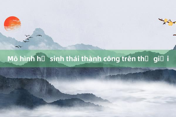 Mô hình hệ sinh thái thành công trên thế giới