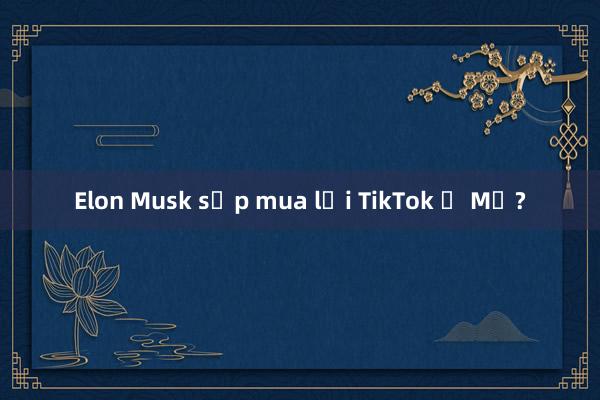 Elon Musk sắp mua lại TikTok ở Mỹ?