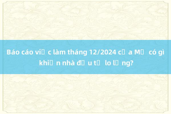 Báo cáo việc làm tháng 12/2024 của Mỹ có gì khiến nhà đầu tư lo lắng?