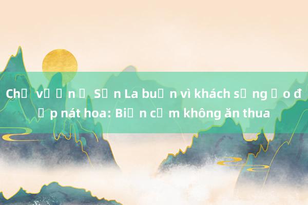 Chủ vườn ở Sơn La buồn vì khách sống ảo đạp nát hoa: Biển cấm không ăn thua