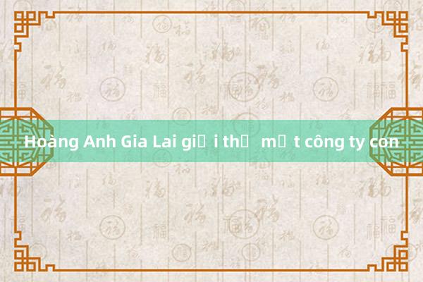 Hoàng Anh Gia Lai giải thể một công ty con