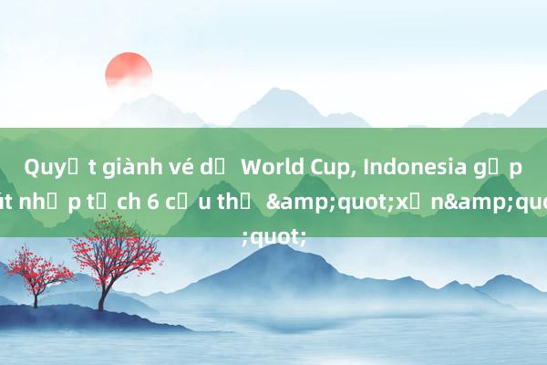 Quyết giành vé dự World Cup， Indonesia gấp rút nhập tịch 6 cầu thủ &quot;xịn&quot;