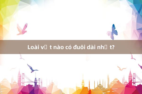 Loài vật nào có đuôi dài nhất?