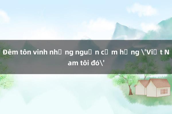 Đêm tôn vinh những nguồn cảm hứng 'Việt Nam tôi đó'