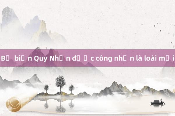 Bọ biển Quy Nhơn được công nhận là loài mới