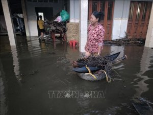 Triều cường gây ngập sâu, ảnh hưởng đến đời sống người dân Bến Tre