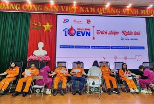 Lan tỏa tuần lễ hồng EVN lần thứ X: Trách nhiệm - Nghĩa tình