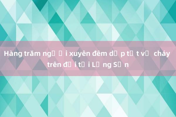 Hàng trăm người xuyên đêm dập tắt vụ cháy trên đồi tại Lạng Sơn