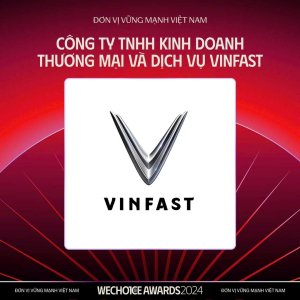 VinFast và chương trình &quot;Gieo mầm Thiện tâm&quot; của Vingroup nhận giải WeChoice Awards 2024