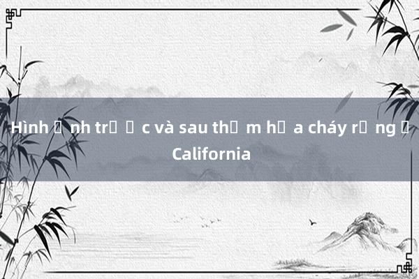 Hình ảnh trước và sau thảm họa cháy rừng ở California